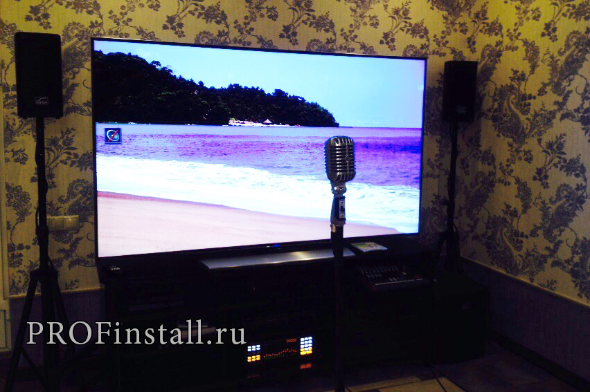 Караоке комплект на основе AST-100 и акустики Solton Acoustic, микрофоны Shure pgx24/B58