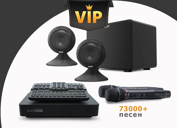 Премиум комплект караоке для дома с караоке Evobox Premium