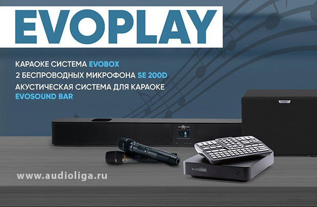 Караоке комплект домашний premium